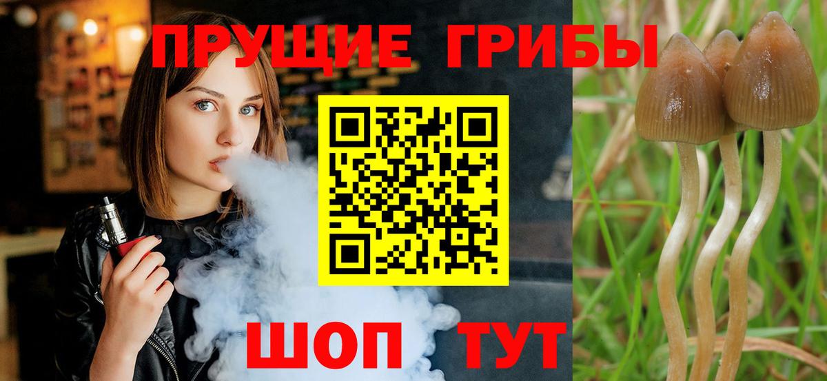 Учалы  наркошоп  Вход с VPN  Псилоцибиновые грибы прущие грибы 